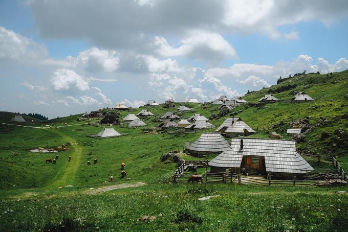 Župan Slapar razlog za priljubljenost Velike planine vidi predvsem v tem, da ponuja edinstveno naravo z bogato kulturno dediščino. Na planini imajo namreč več sto planšarskih kočic. | Foto: Jan Lukanović