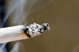 Požar nad Rakitovcem zanetil odvržen cigaretni ogorek 40-letnika iz Ljubljane #video