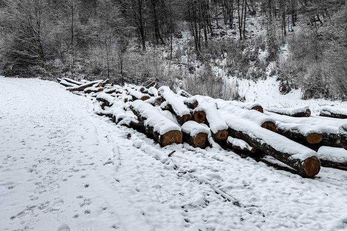 Sneg | Moškemu so nudili pomoč, a ga žal niso mogli rešiti.  | Foto Ana Kovač