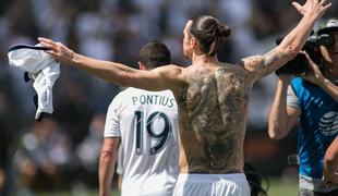 Švedi zgroženi: je Ibrahimović res ustrelil leva in z njim "okrasil" svoj dom?
