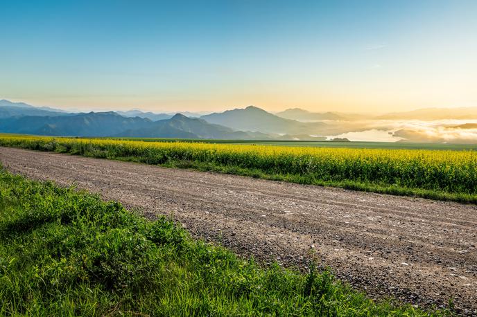 podeželjska cesta | Foto Shutterstock