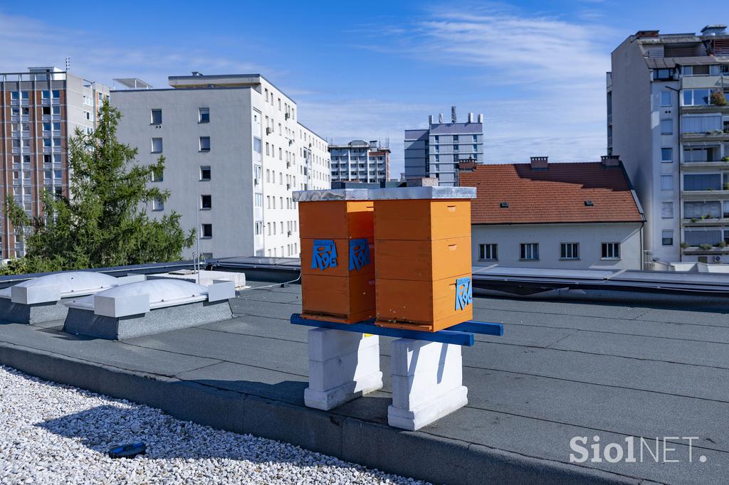 Urbani čebelar Ljubljana