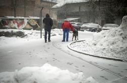 Sneg bo postopoma ponehal, burja na Primorskem ostaja