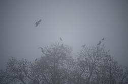 Znano je, kakšno vreme nas čaka v prihodnjih dneh