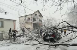 Sneg povzroča preglavice v Srbiji, številni ostali brez elektrike #foto