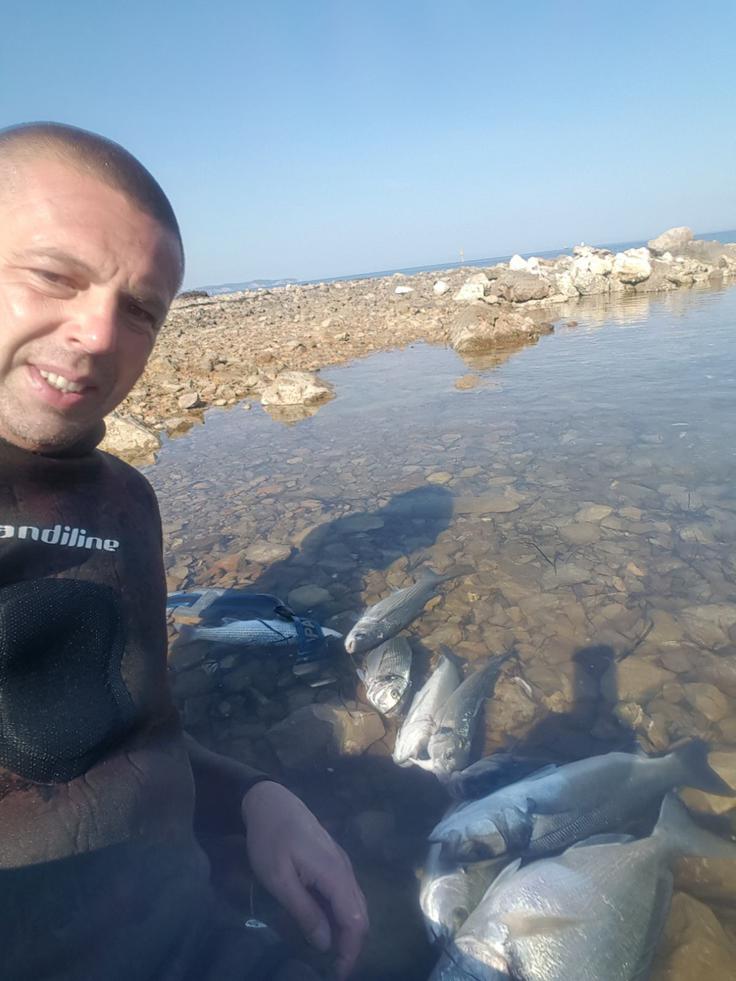 Ribe lovi s palico, rad pa se tudi potaplja s puško. | Foto: osebni arhiv