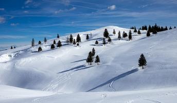 Zadnja priložnost, da doživite zimsko Veliko planino #video
