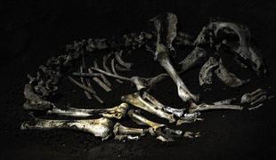 V Srbiji odkrili ostanke najstarejših sesalcev na Balkanu