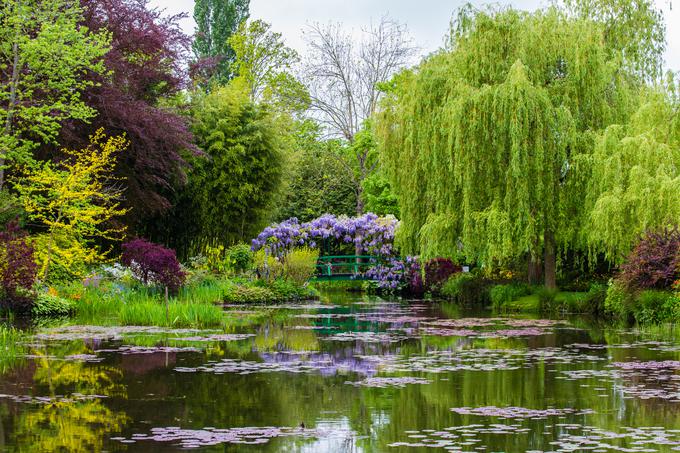 Monet, Giverny | Foto: Shutterstock