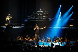 Siddharta, 30 let, Stožice