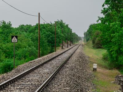 Na Hrvaškem potniški vlak trčil v podrto drevo in iztiril: poškodovanih več oseb