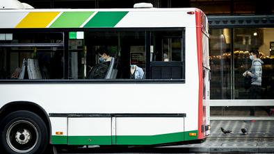 Drevo padlo na avtobus, voznik skušal reagirati. Ni se dobro končalo.