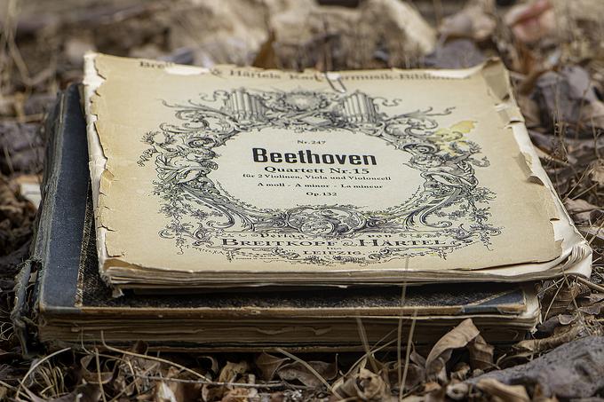 Beethovnova partitura na starem papirju © Pixabay       | Foto: 
