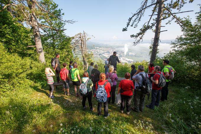 V Pivki pa so se odpravili na spomladanski pohod. | Foto: 