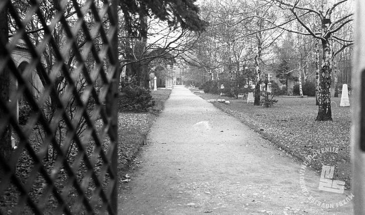 spominski park Navje leta 1968 Spominski park Navje leta 1968 | Foto: Marjan Ciglič, hrani MNZS