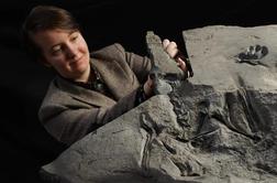 Na Škotskem odkrili največji fosil jurskega pterozavra #foto