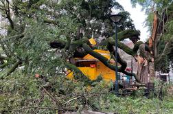 Na Portugalskem pustošilo neurje, umrlo je več ljudi