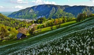 Očarljiva slovenska atrakcija, ki vas bo pustila brez besed  #video
