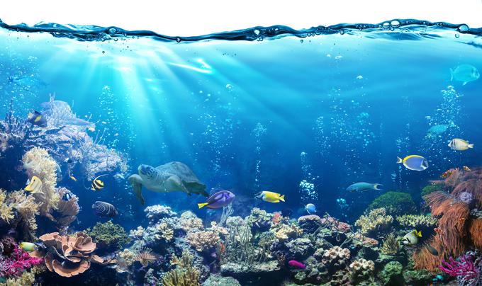 "Toplejša morja spreminjajo morske tokove, slanost, ribe se selijo v hladnejše vode, ki so bolj bogate s hranljivimi snovmi, seli se tudi ribištvo," dodaja Lučka Kajfež Bogataj. | Foto: Thinkstock