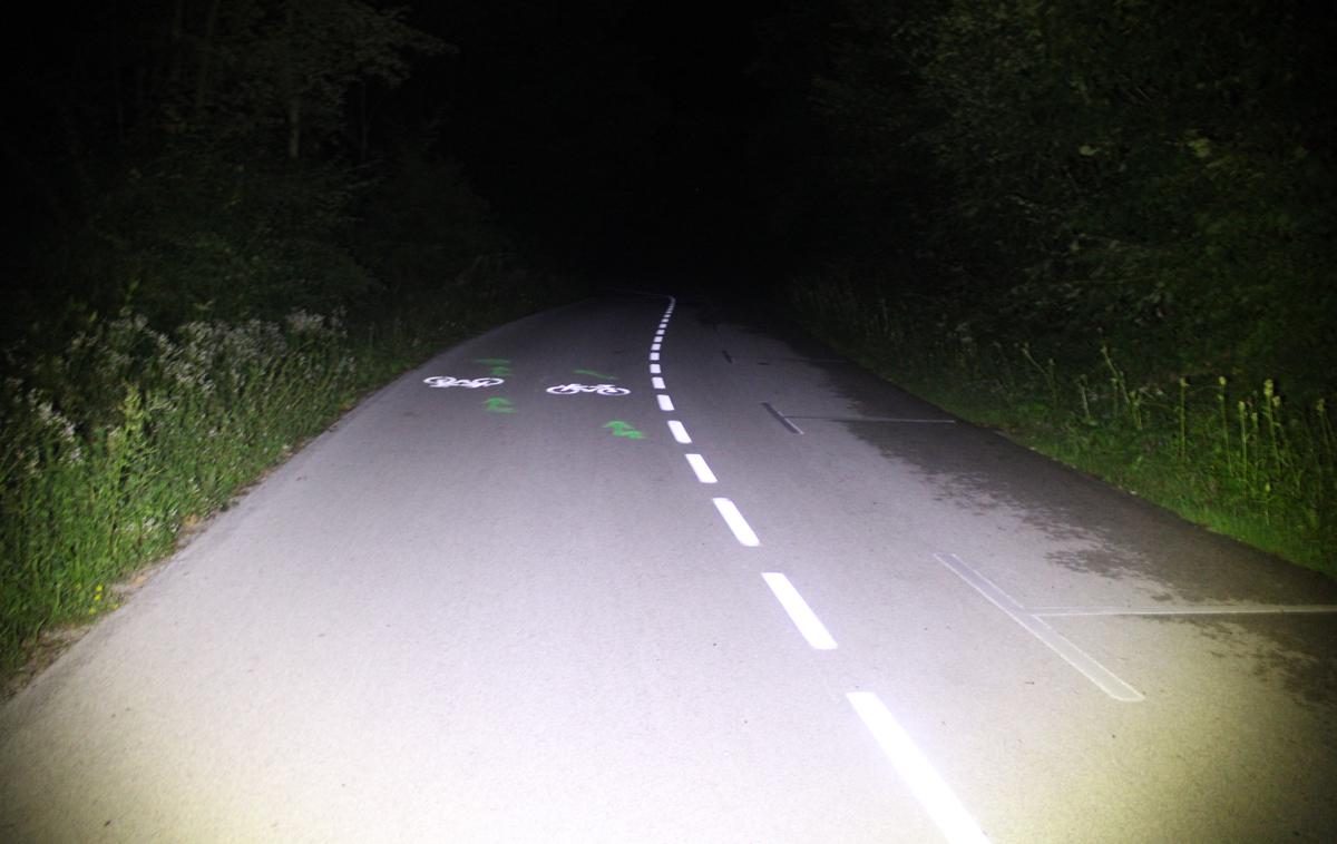kolesarska steza, Bled | V prometni nesreči na kolesarski stezi  iz smeri Bleda proti Lescam sta bila udeležena dva kolesarja. | Foto PU Kranj
