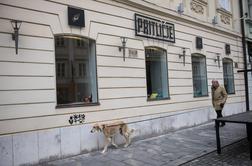 V Pritličje na kavo, kosilo in razmislek