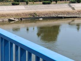 Drava in Donava