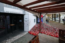 Protestni shod Novo mesto