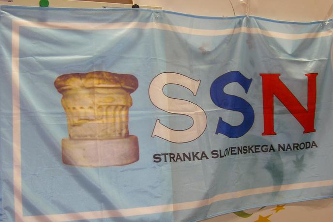 Stranka slovenskega naroda | Foto STA