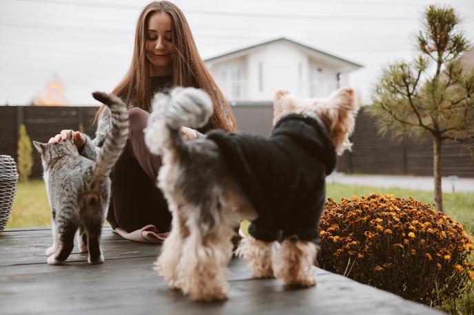 mačka, pes, hišni ljubljenčki | Foto Shutterstock