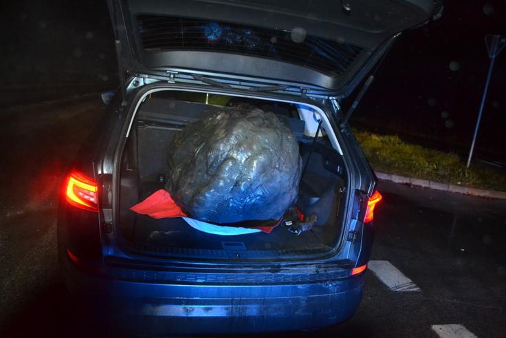 Josip Broz Tito, spomenik | Foto: STA