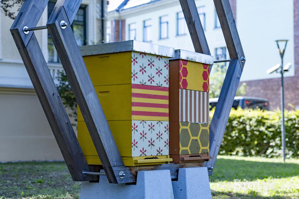 Urbani čebelar Ljubljana