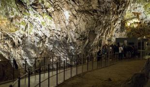 Jamarji v Postojnski jami izmerili nov, 3,5 kilometra dolg rov (video)