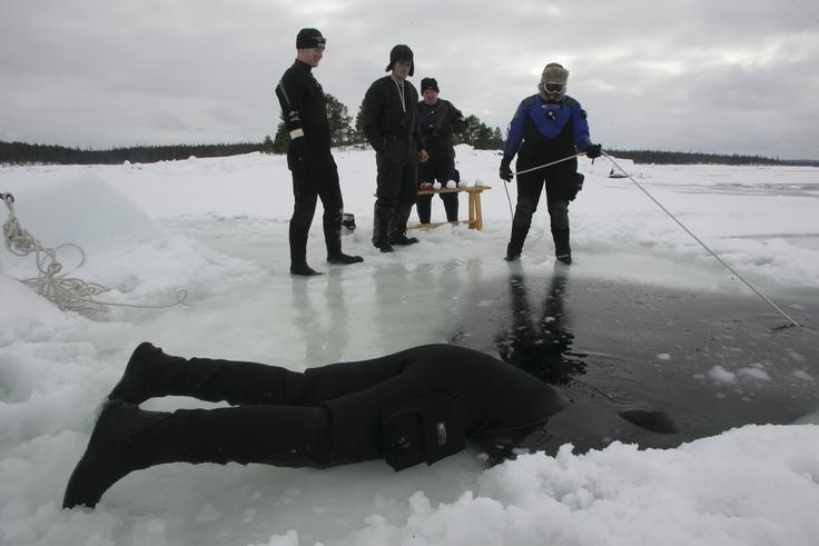 Potapljači med potapljanjem na obali Belega morja na severu Rusije. | Foto: Reuters