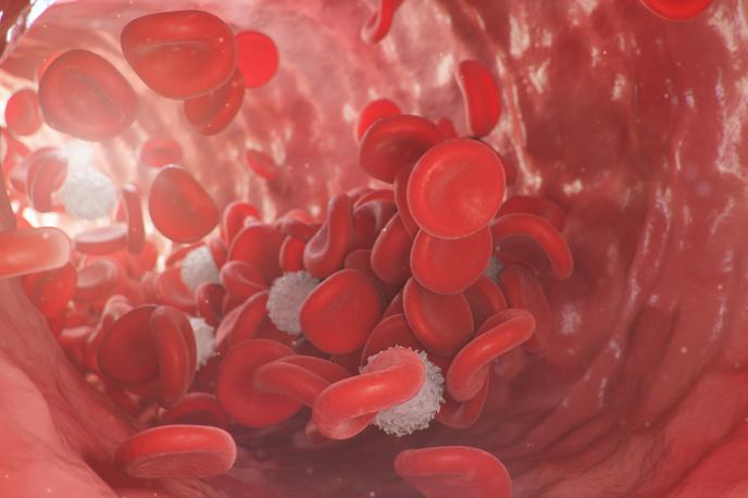 rdeče krvničke, eritrociti | Železo ima zelo pomembno vlogo pri delovanju rdečih krvničk (na fotografiji), a pretirana količina železa je povezana z mnogimi zdravstvenimi težavami. | Foto Getty Images