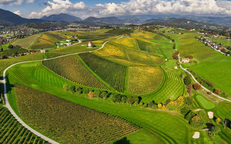 V idiličnem okolju med skrbno negovanimi vinogradi se skriva biser slovenskega golfa: igrišče z devetimi luknjami, ki z razgledi poskrbi, da v igri uživajo tako začetniki kot izkušeni igralci. | Foto: Matej Nareks