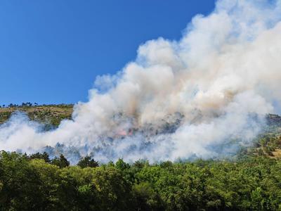 Na Krasu večji požar, na delu okoli sto gasilcev