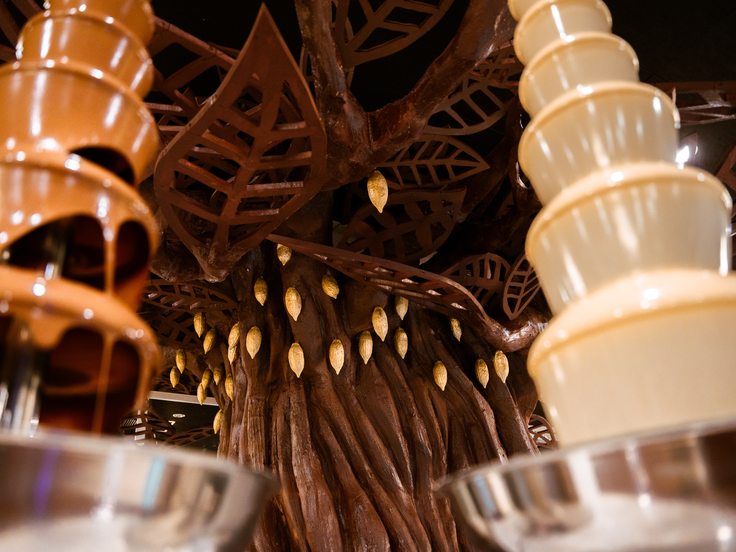 Chocolarium | Foto: Chocolarium