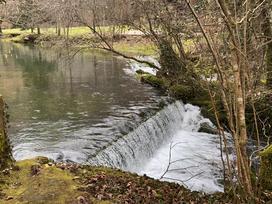 Kostanjevica na Krki, reka Studena