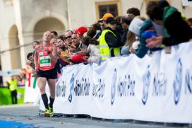 Ljubljanski maraton 2017