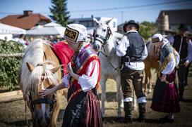 Posavsko štehvanje