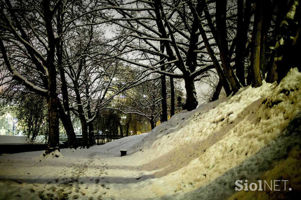 sneg v Ljubljani