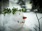 Sneg sneženje Ljubljana