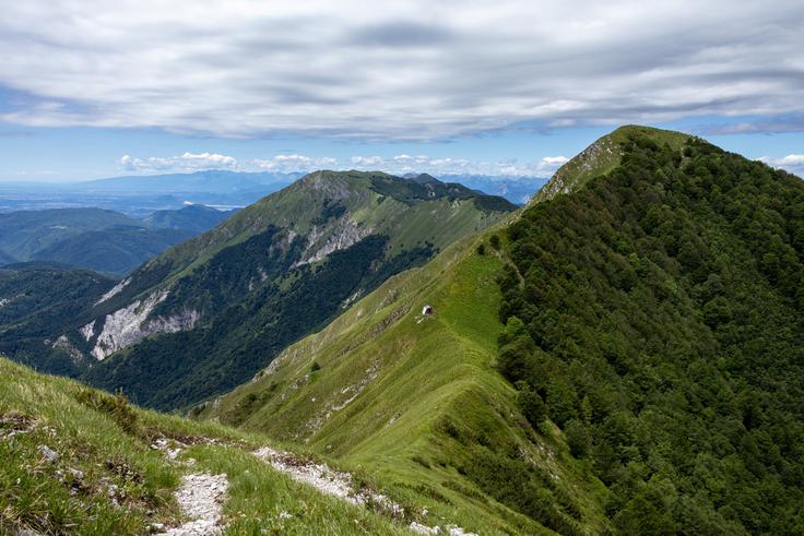 Zadnji metri do vrha Muzca. Pogled proti zahodu. | Foto: Matej Podgoršek
