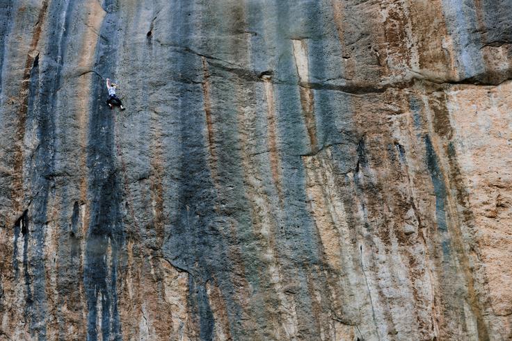 Janja Garnbret | Foto: Red Bull Content Pool