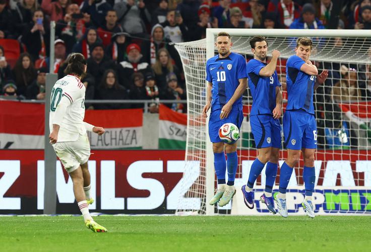 Madžari so si večino priložnosti priigrali v drugem polčasu. | Foto: Reuters