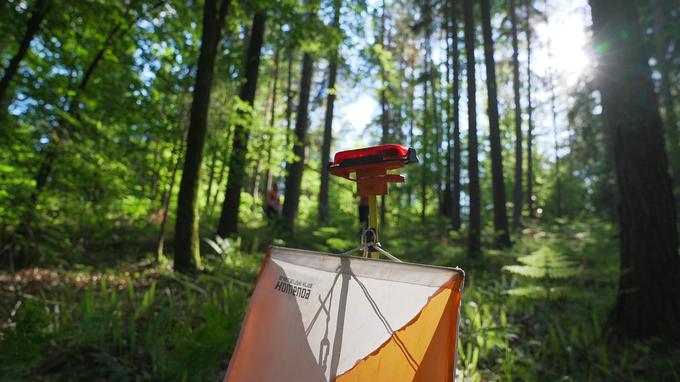Gozdni tereni okrog Komende so idealni za pripravo raznolikih orientacijskih prog. | Foto: Jan Lukanović