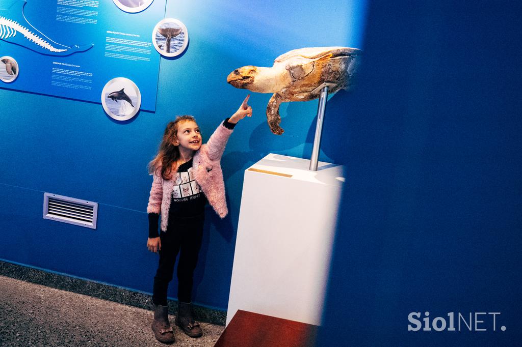 McDonald's, Akvarij Piran