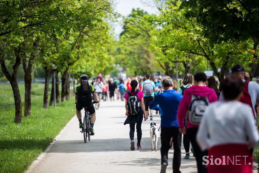 pohod pot ob žici 2019