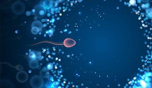 Znanstveniki ovrgli 300 let staro domnevo o spermijih