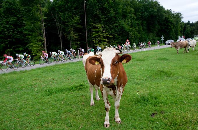 Iz leta v leto je na dirki Po Sloveniji vse več kakovostnih kolesarjev. Nekaterim je prav slovenska dirka odprla vrata do elite. | Foto: 